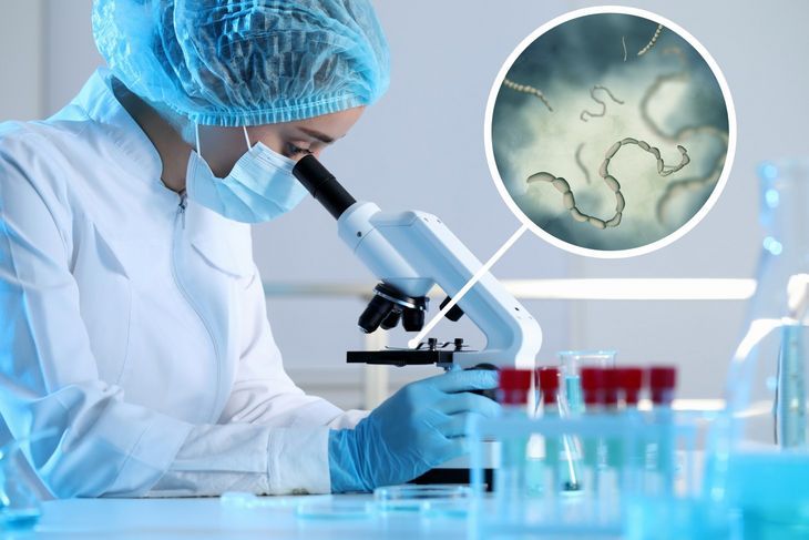 By sprawdzić przyczynę zwiększonej ilości śluzu w kale możemy zostać skierowani na badania laboratoryjne kału. 