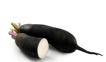 Czarna rzodkiew – właściwości lecznicze, działanie i zastosowanie