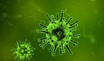 Problemy z florą bakteryjną mogą zwiastować cukrzycę