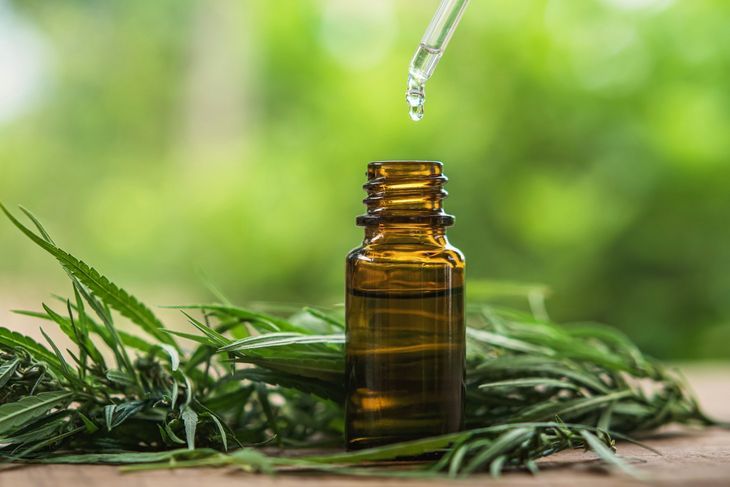 Olejek CBD pozyskiwany jest z konopii siewnych. Używa się go do produkcji suplementów diety i kosmetyków, trwają badania nad wykorzystaniem go w terapii stwardnienia rozsianego, epilepsji, zaburzeń lękowych. Fot. Adobe Stock.