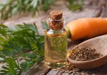 Olejek marchewkowy - za tą nazwą może kryć się zarówno olejek eteryczny marchewkowy z nasion lub kwiatów marchwi, tłoczony na zimno olej marchewkowy z nasion, jak i olejowy macerat z korzenia lub nasion. Fot. Adobe Stock.