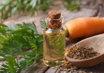 Olejek marchewkowy - za tą nazwą może kryć się zarówno olejek eteryczny marchewkowy z nasion lub kwiatów marchwi, tłoczony na zimno olej marchewkowy z nasion, jak i olejowy macerat z korzenia lub nasion. Fot. Adobe Stock.