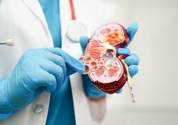 Kreatynina to substancja organiczna, która bierze udział przede wszystkim w przemianach energetycznych. Powstaje ona po rozpadzie kreatyny w mięśniach szkieletowych. /Fot. Adobe Stock