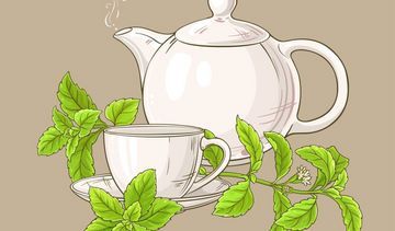 Zioła na cukrzycę – terapia wspomagająca leczenie cukrzycy