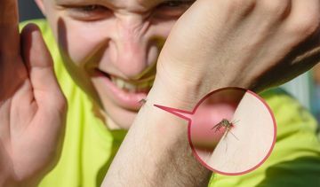 Uczulenie na komary – jak się objawia? Czy wymaga leczenia?