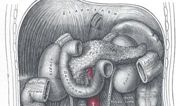 Jak leczono cukrzycę przed wynalezieniem insuliny?