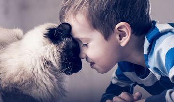 Felinoterapia, czyli terapia kotem – jak wygląda? Jakie przynosi efekty?