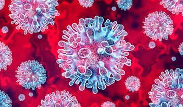 Wirus Nipah – objawy, drogi zakażenia. Jak się uchronić przed śmiertelnie groźnym patogenem?