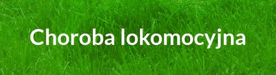 Choroba lokomocyjna