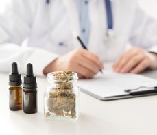 20 kwietnia Światowy Dzień Marihuany. W jakich chorobach medyczna marihuana może być zalecana?