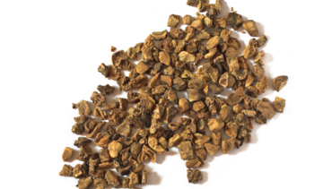 Czarci pazur – właściwości lecznicze, działanie, zastosowanie