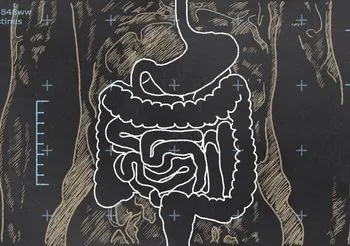 Na czarnej tablicy narysowany kredą fragment ciała z widocznymi jelitami